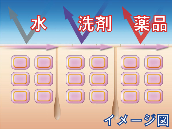 スキンプロテクトクリームを使用したイメージ図