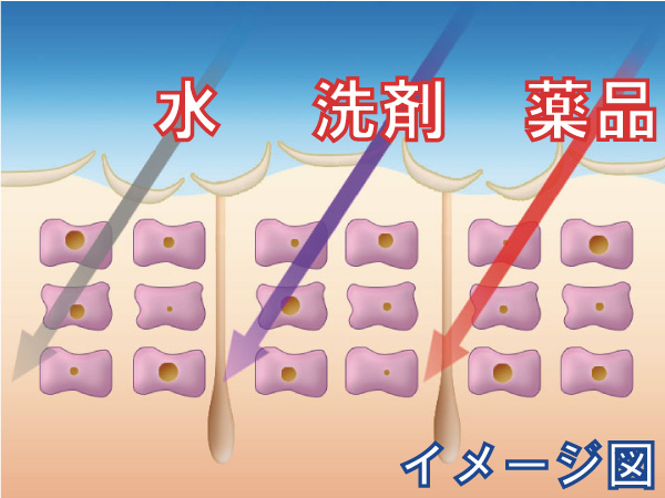 外的刺激による手荒れのイメージ